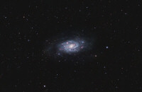NGC 2403
