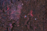 IC 5070 and NGC 7000
