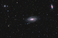 Messier 81, 82, NGC 3077
