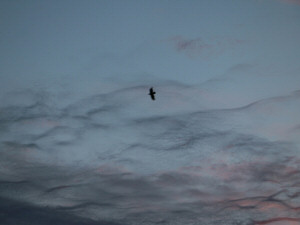 Strange clouds